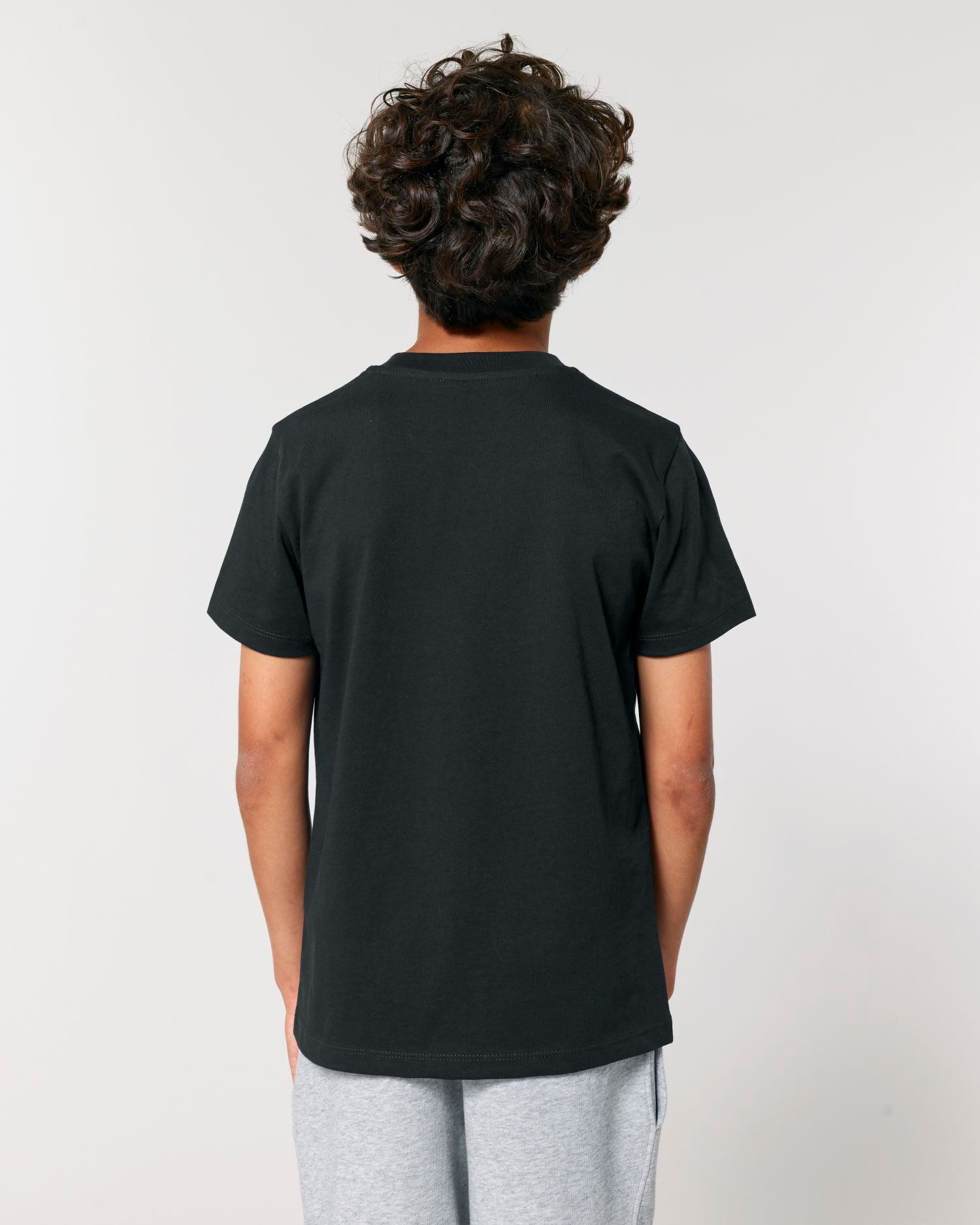 Mini Creator 2.0 STTK184 – Black